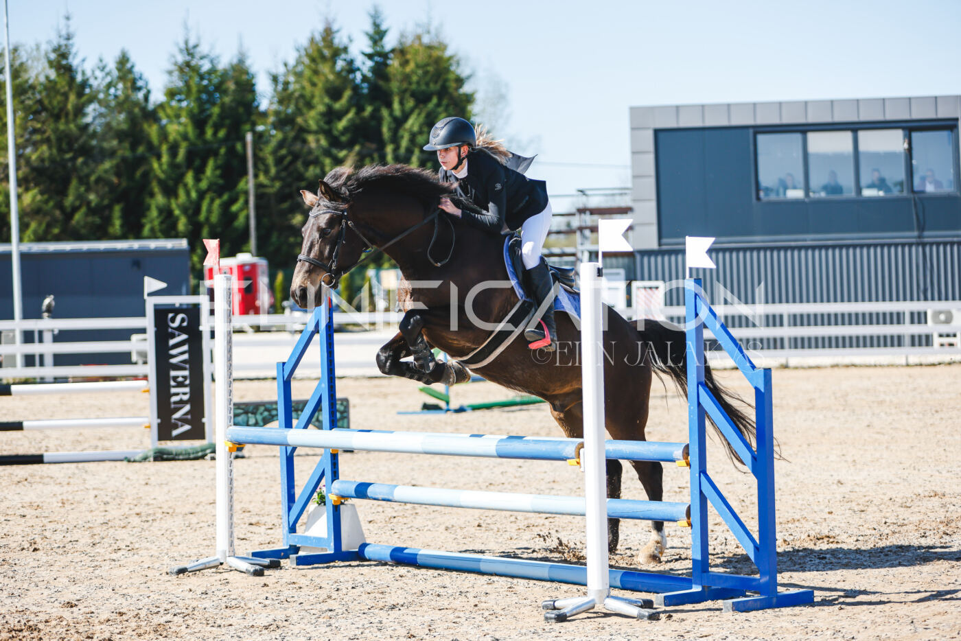 Gramina_Volber_2026_hc70-80_0523