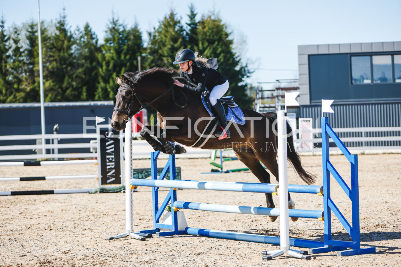 Gramina_Volber_2026_hc70-80_0525
