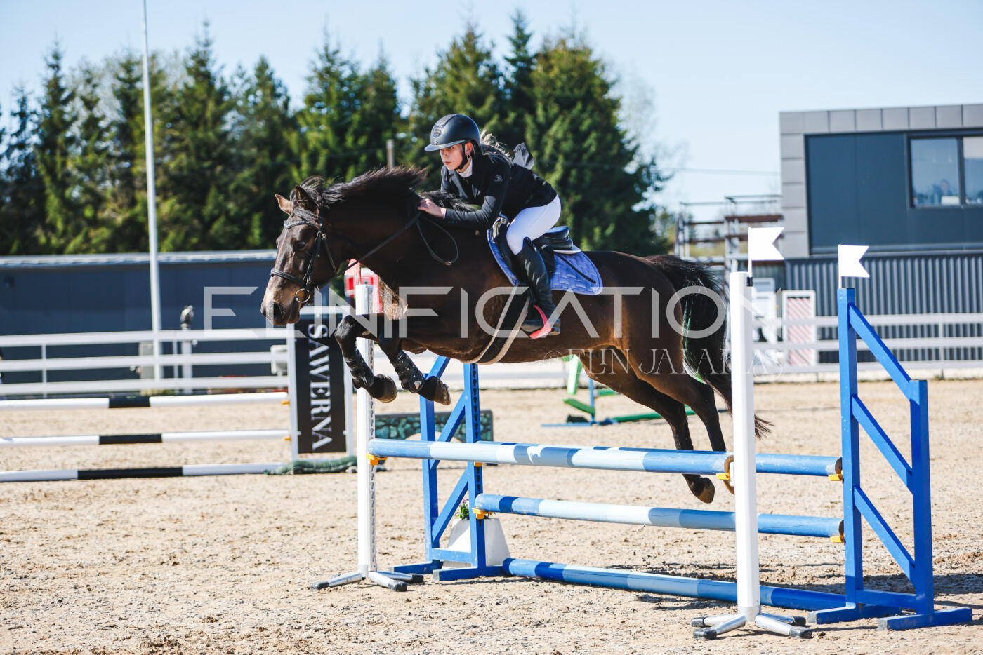 Gramina_Volber_2026_hc70-80_0526