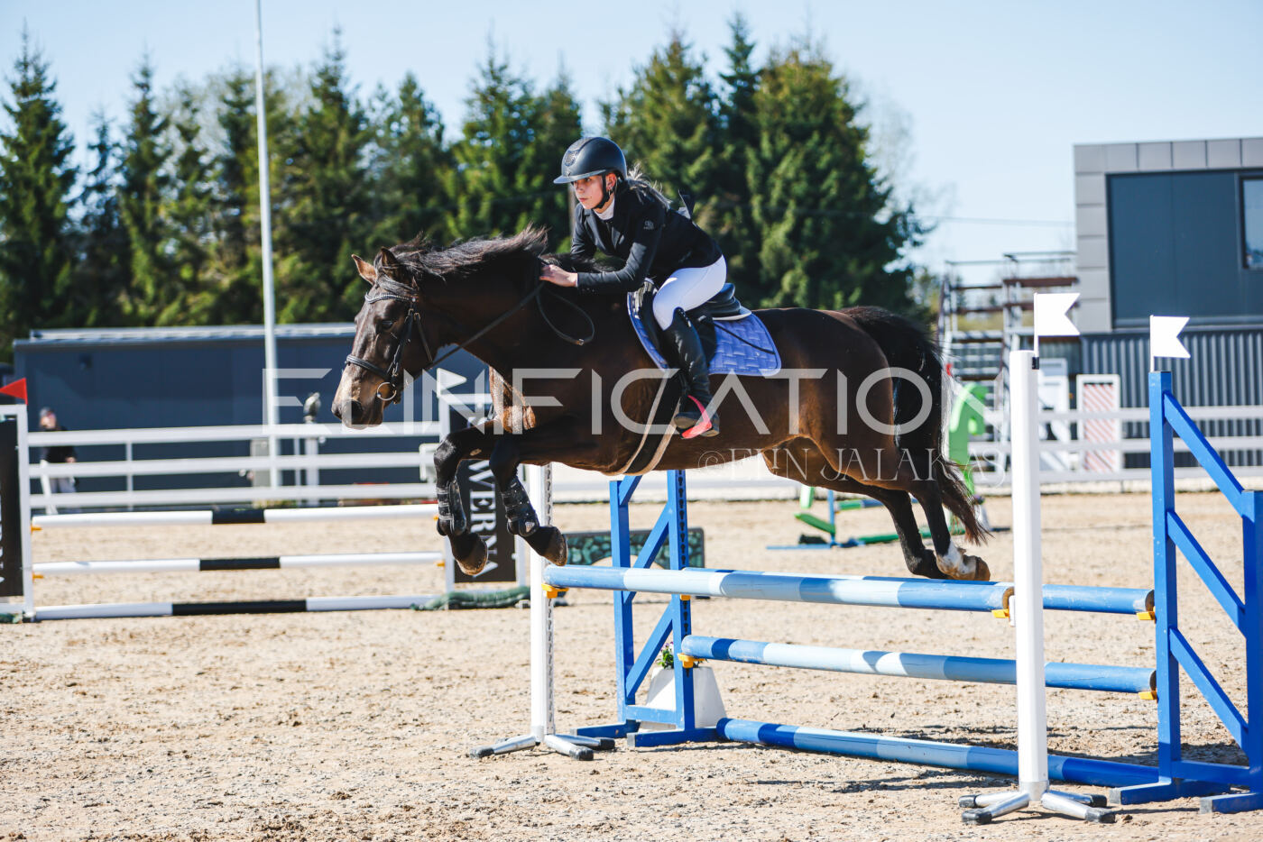 Gramina_Volber_2026_hc70-80_0527