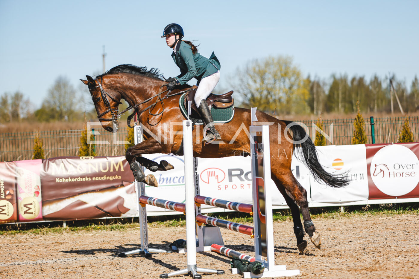 Gramina_Volber_2026_hc70-80_0533