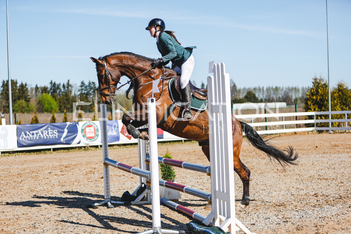 Gramina_Volber_2026_hc70-80_0539