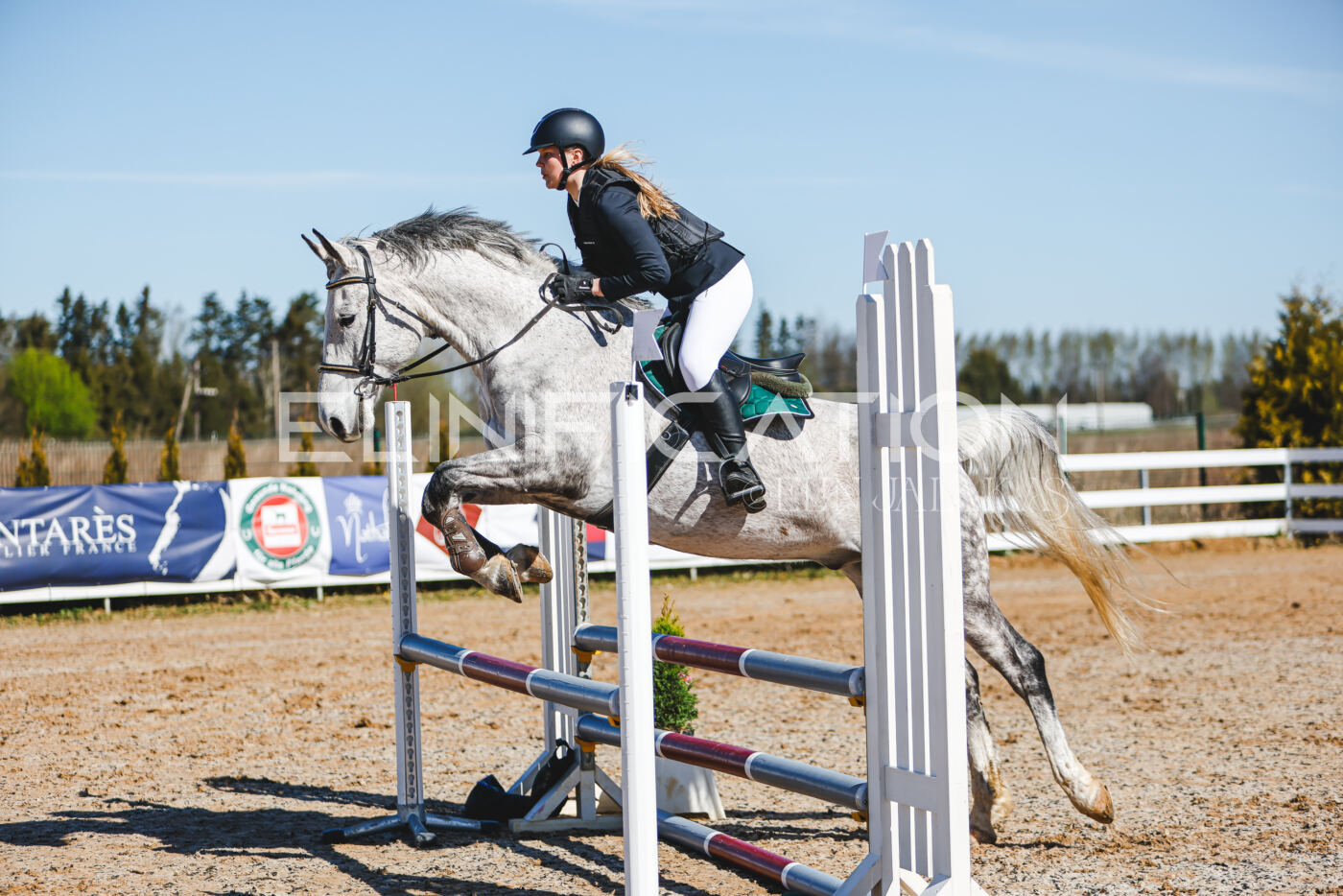 Gramina_Volber_2026_hc70-80_0555