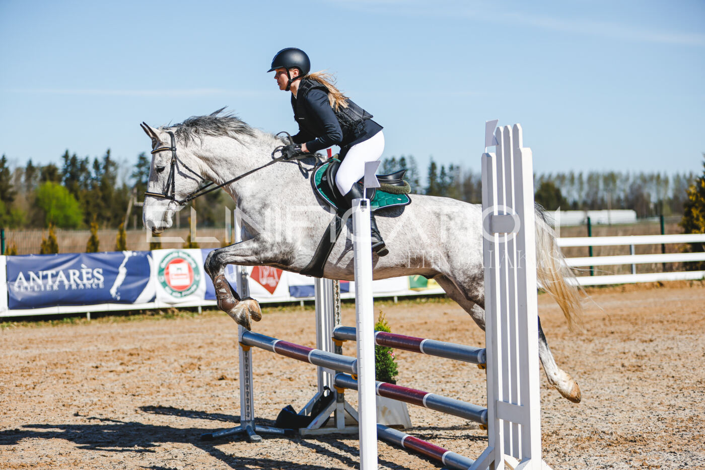 Gramina_Volber_2026_hc70-80_0556