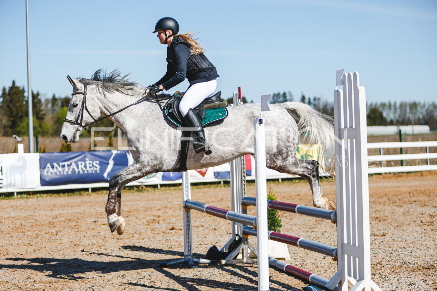 Gramina_Volber_2026_hc70-80_0558