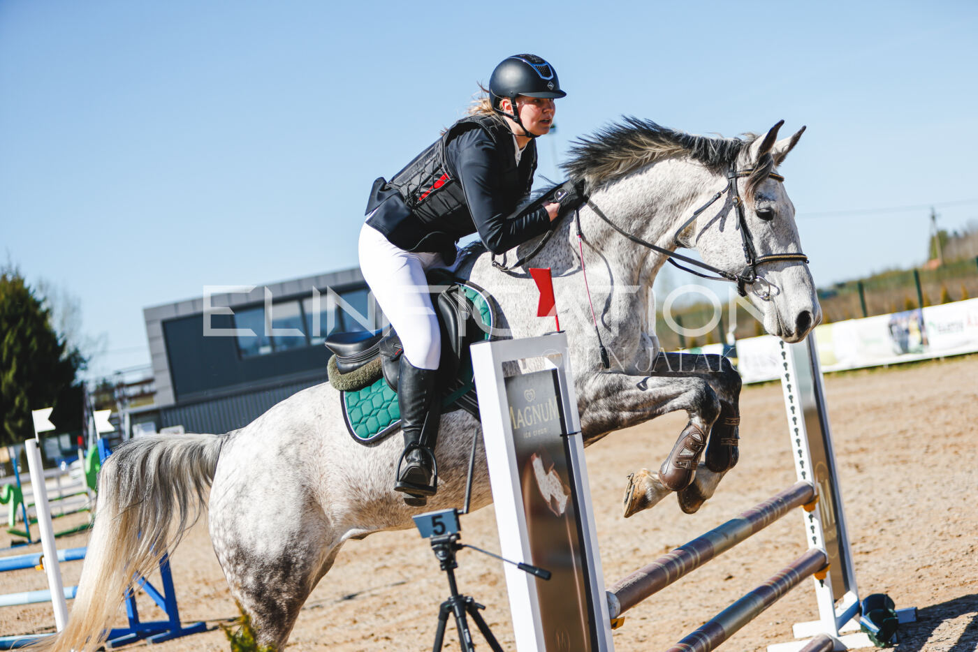 Gramina_Volber_2026_hc70-80_0564