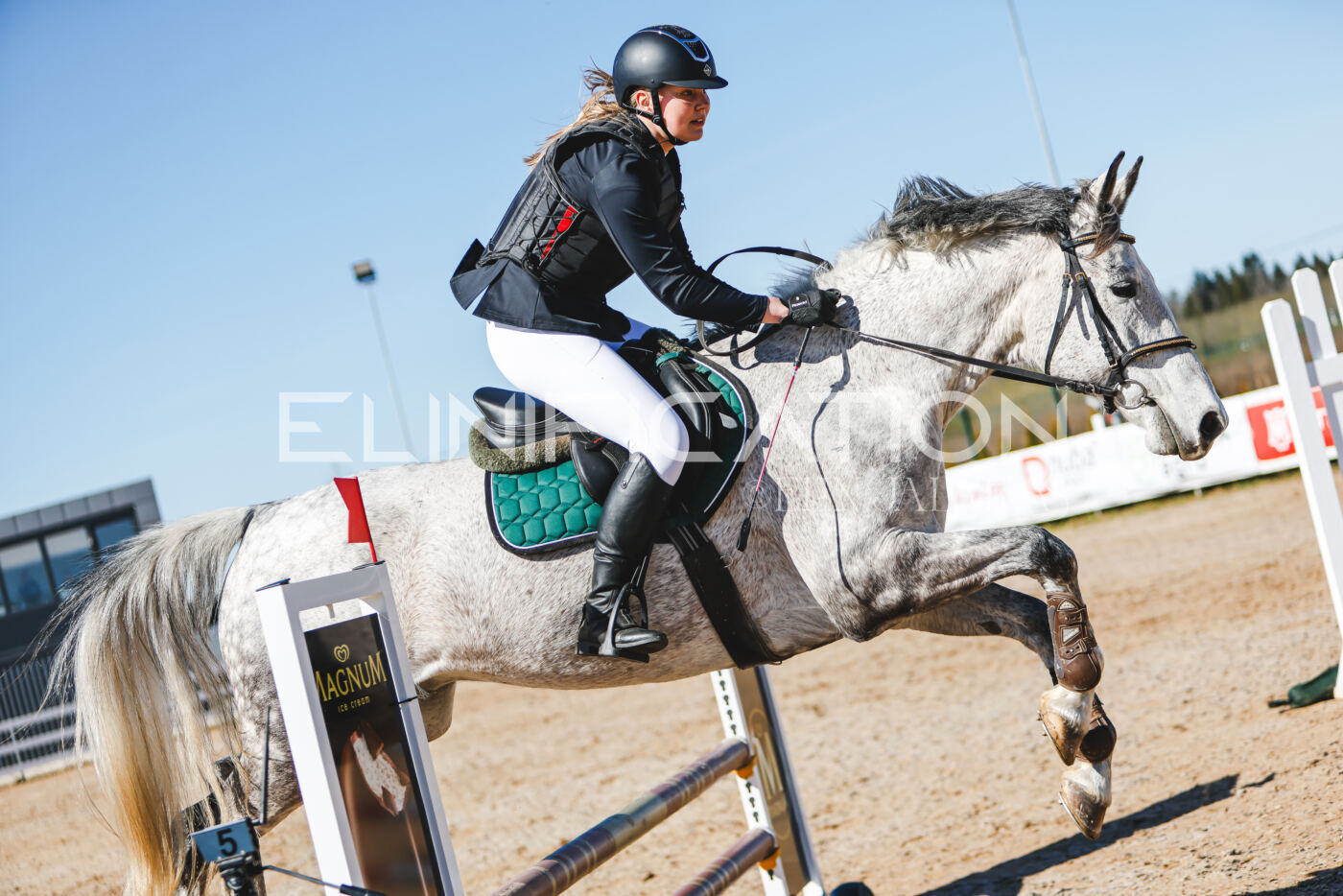 Gramina_Volber_2026_hc70-80_0567