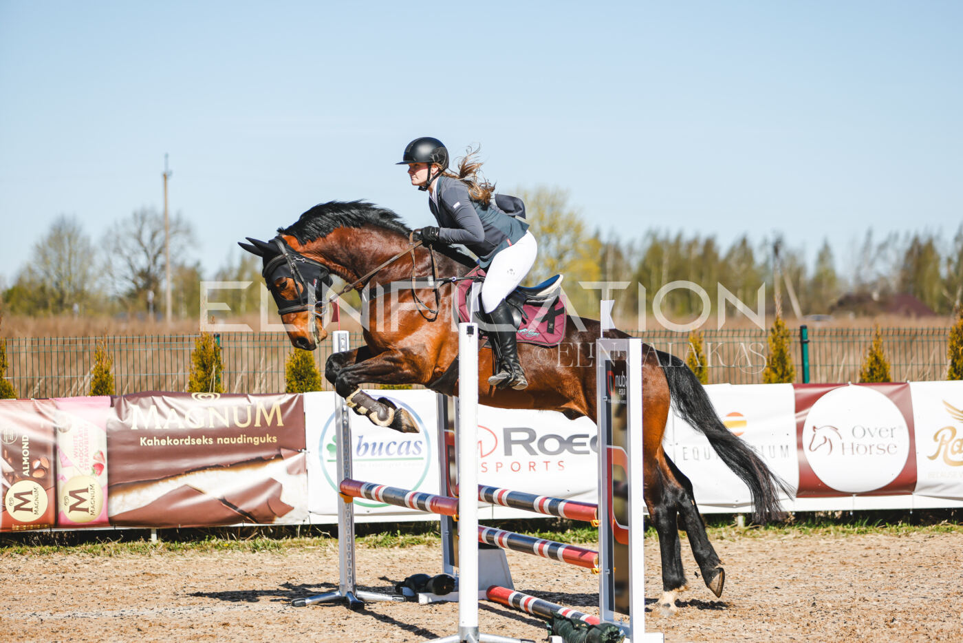 Gramina_Volber_2026_hc70-80_0577