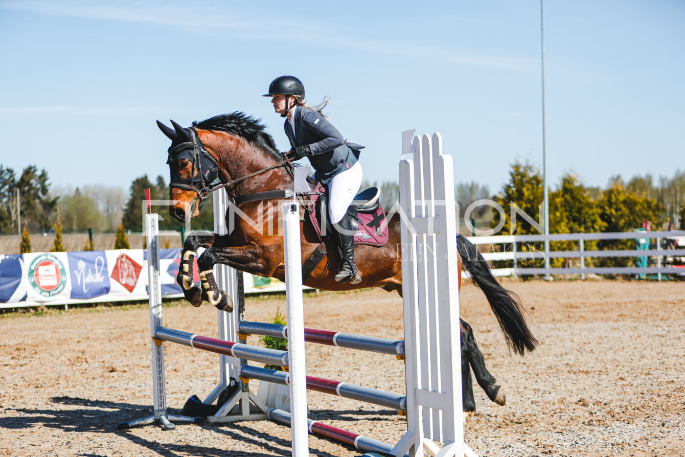Gramina_Volber_2026_hc70-80_0587