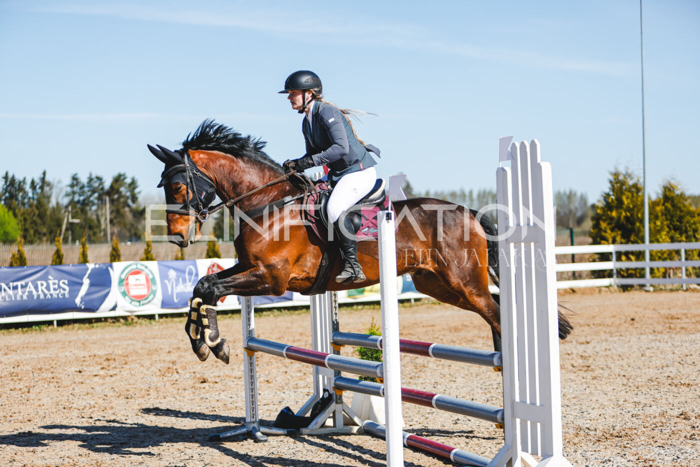 Gramina_Volber_2026_hc70-80_0589