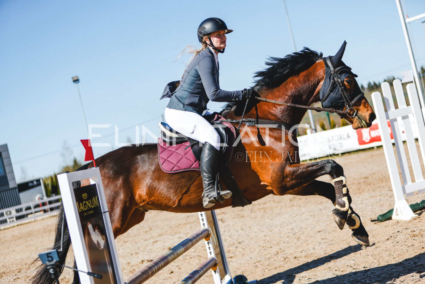 Gramina_Volber_2026_hc70-80_0602