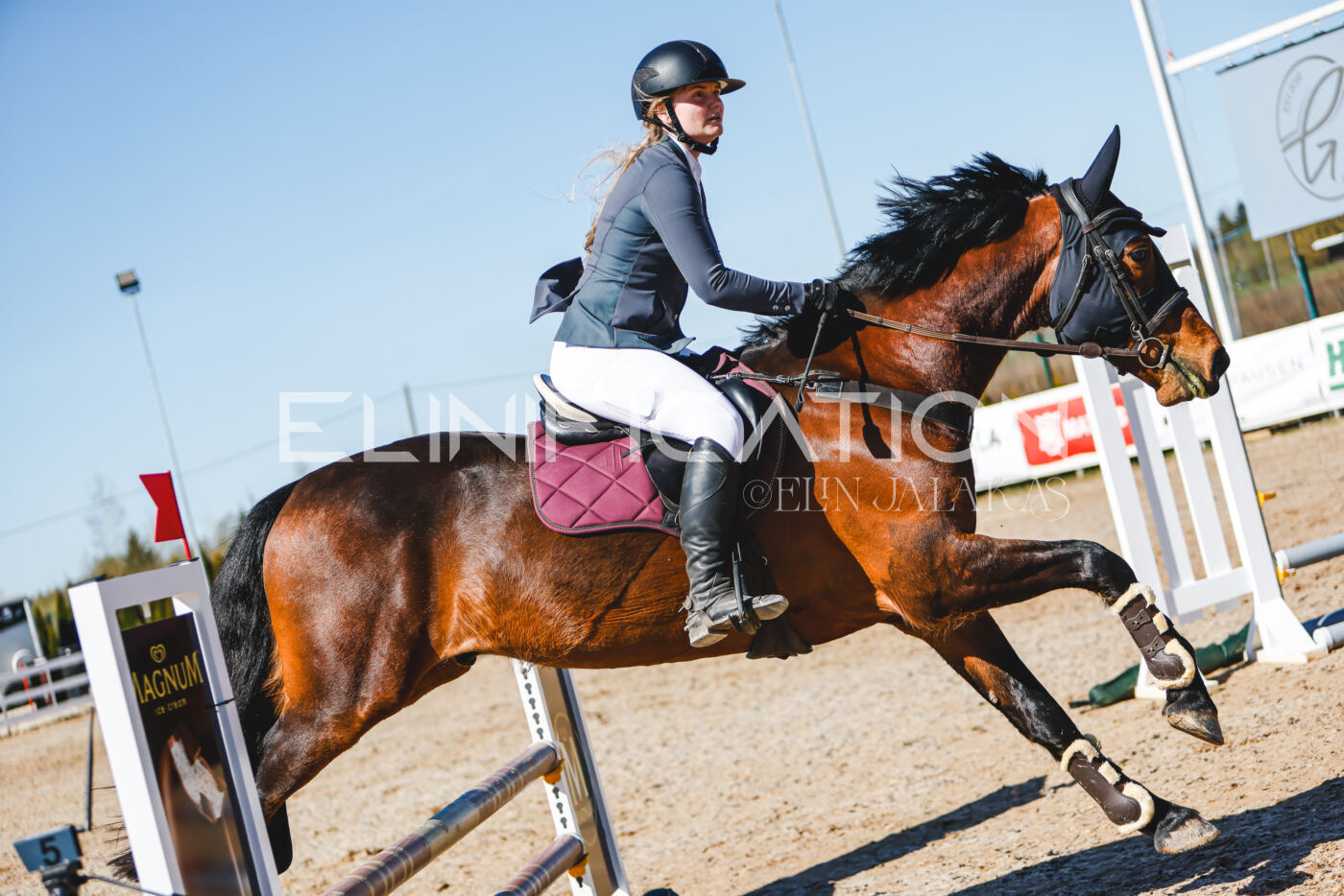Gramina_Volber_2026_hc70-80_0603
