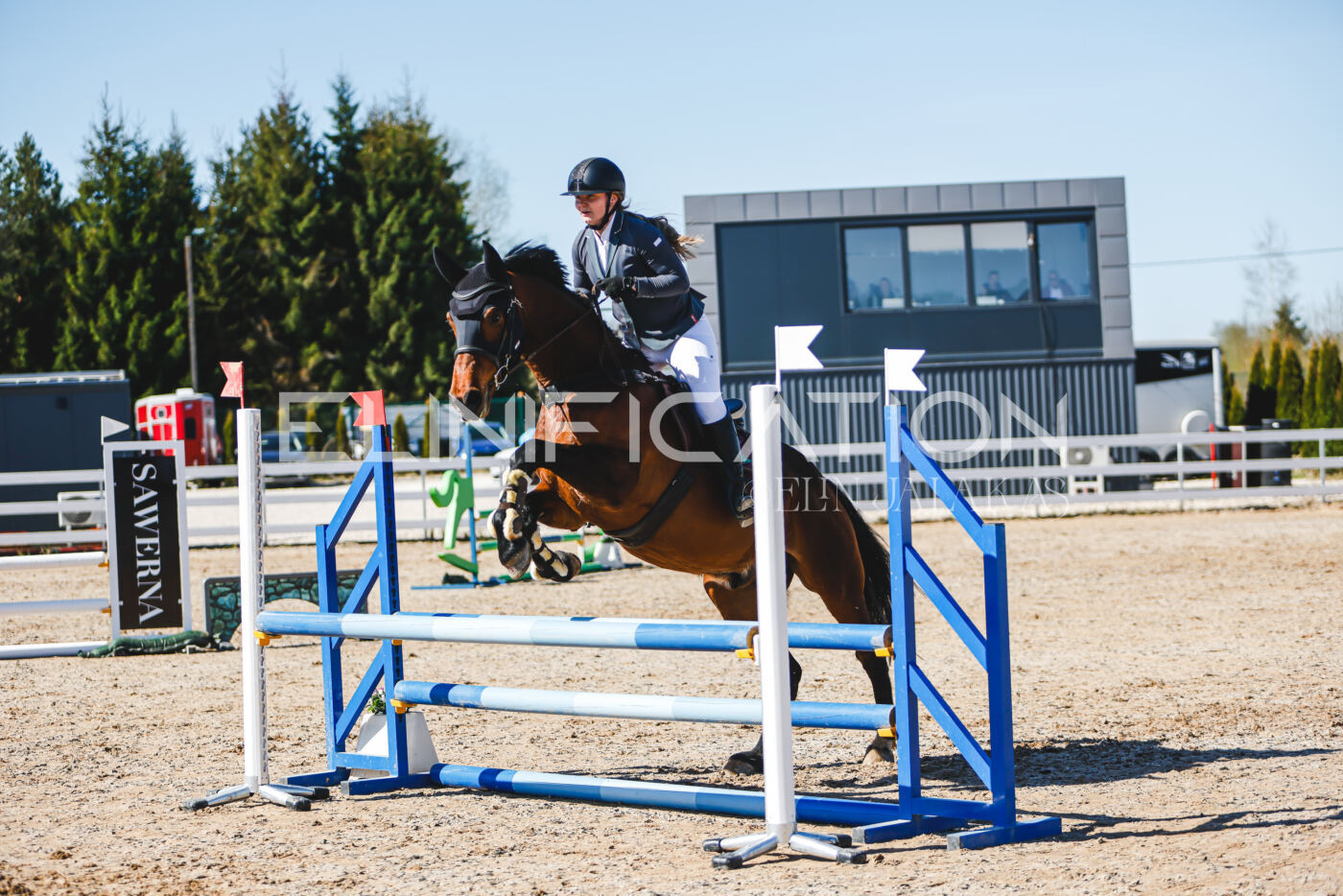 Gramina_Volber_2026_hc70-80_0605