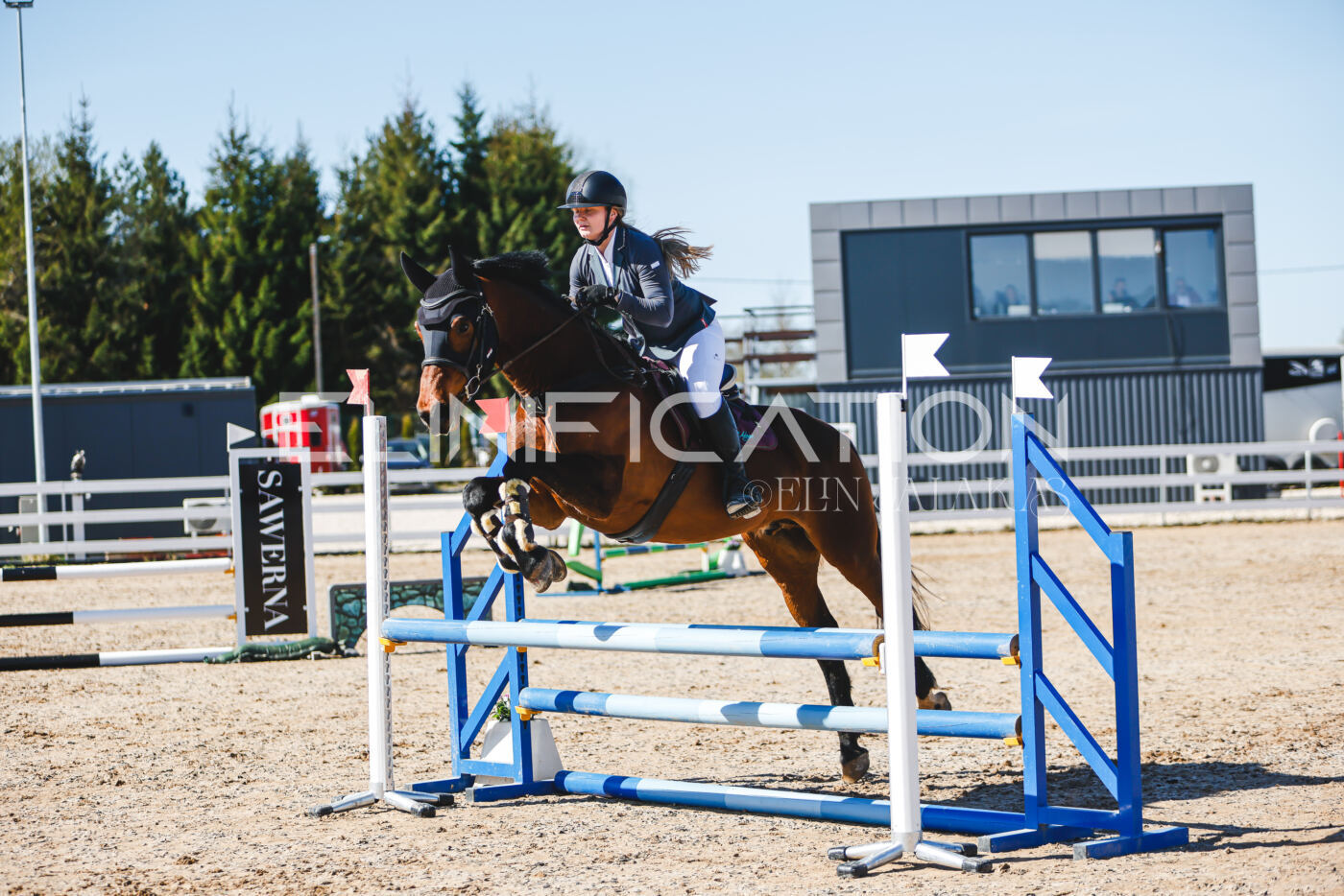 Gramina_Volber_2026_hc70-80_0607