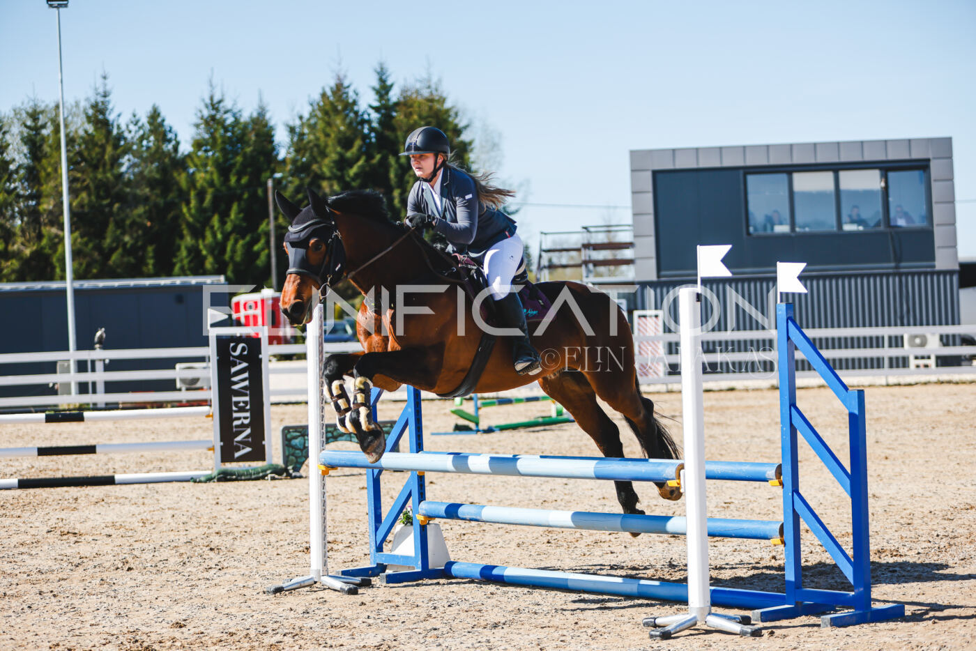 Gramina_Volber_2026_hc70-80_0608