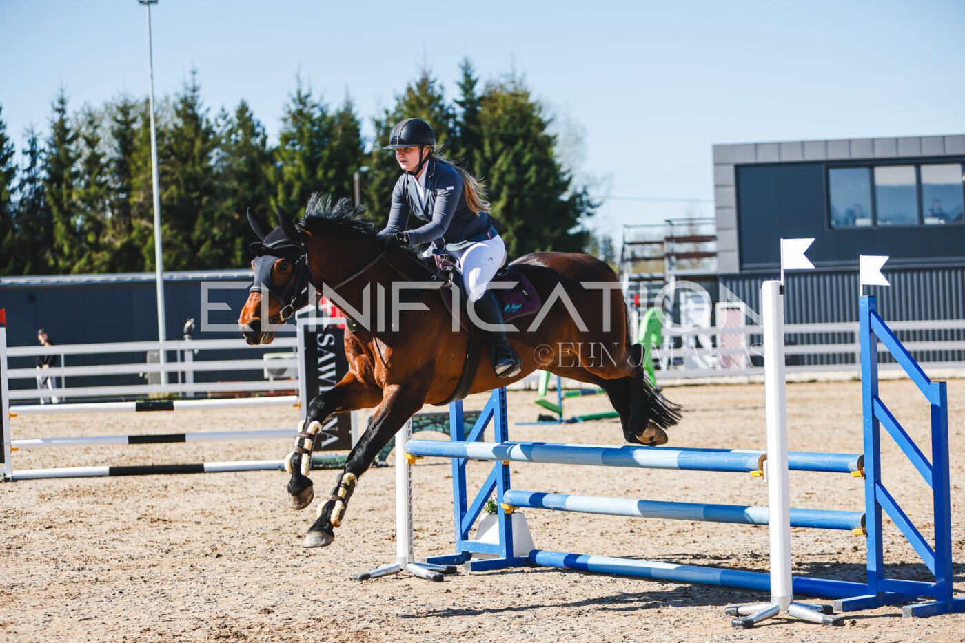 Gramina_Volber_2026_hc70-80_0610