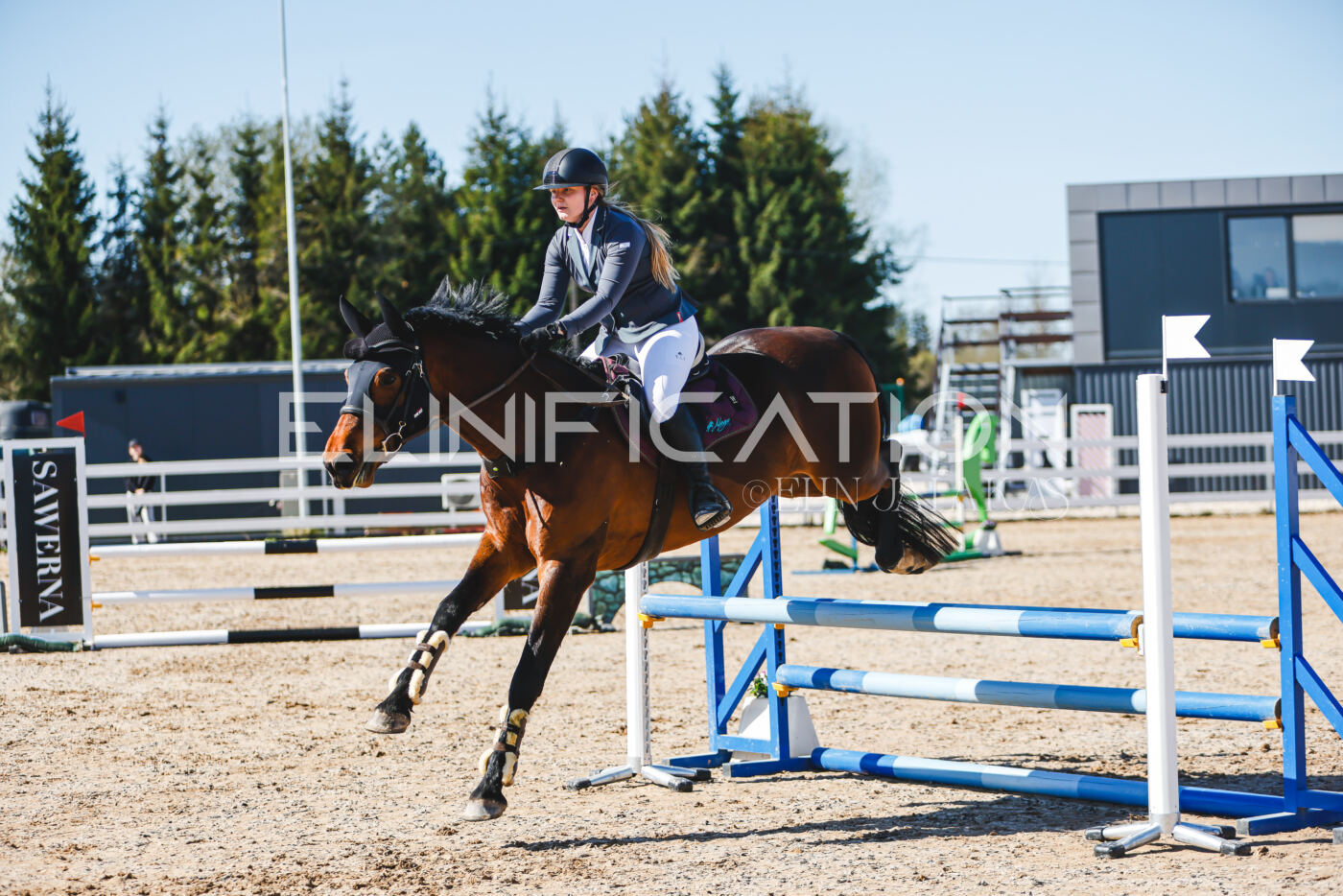 Gramina_Volber_2026_hc70-80_0611