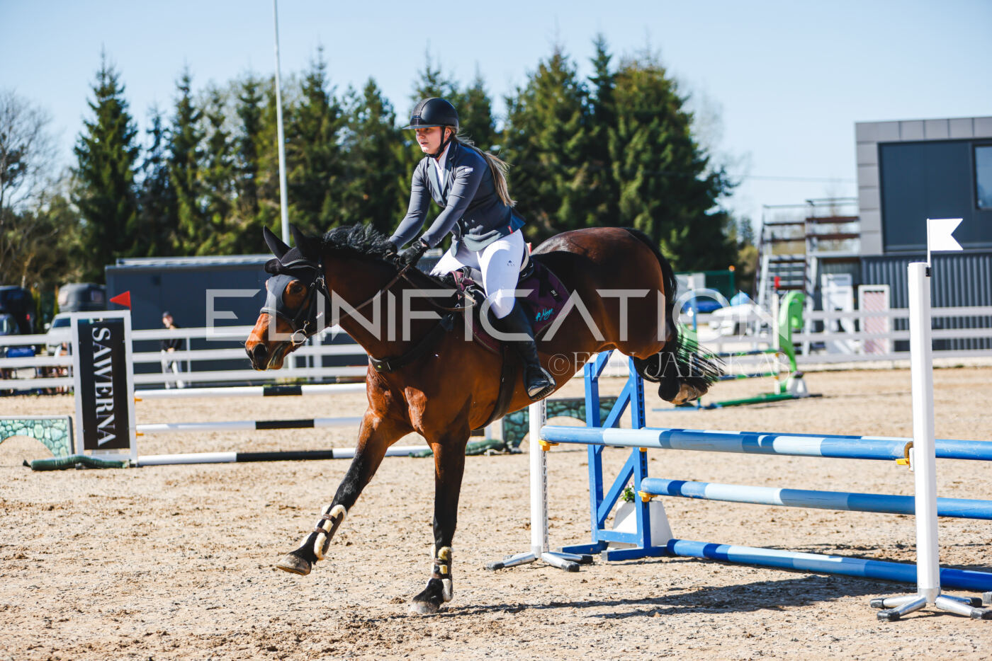 Gramina_Volber_2026_hc70-80_0612