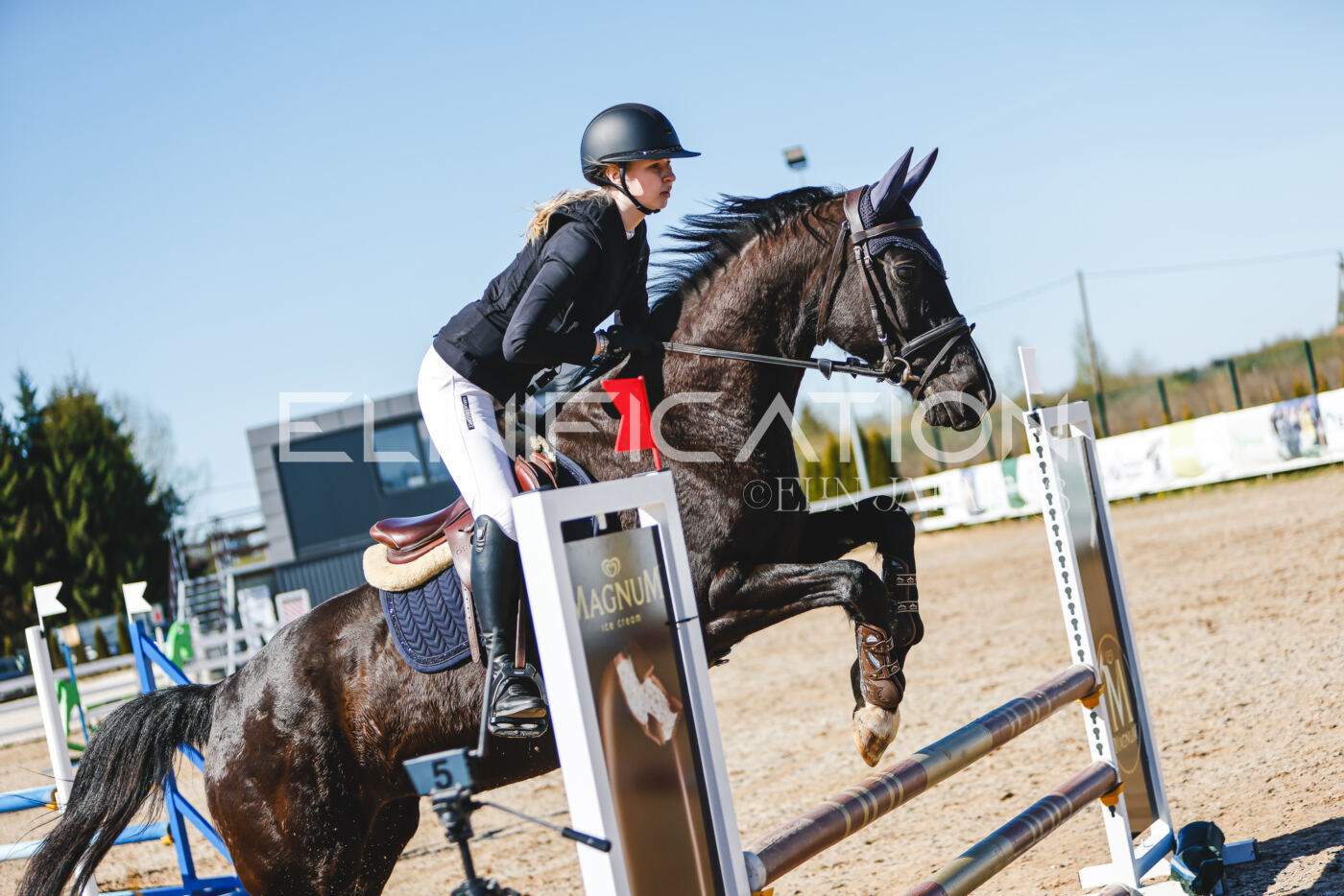 Gramina_Volber_2026_hc70-80_0640