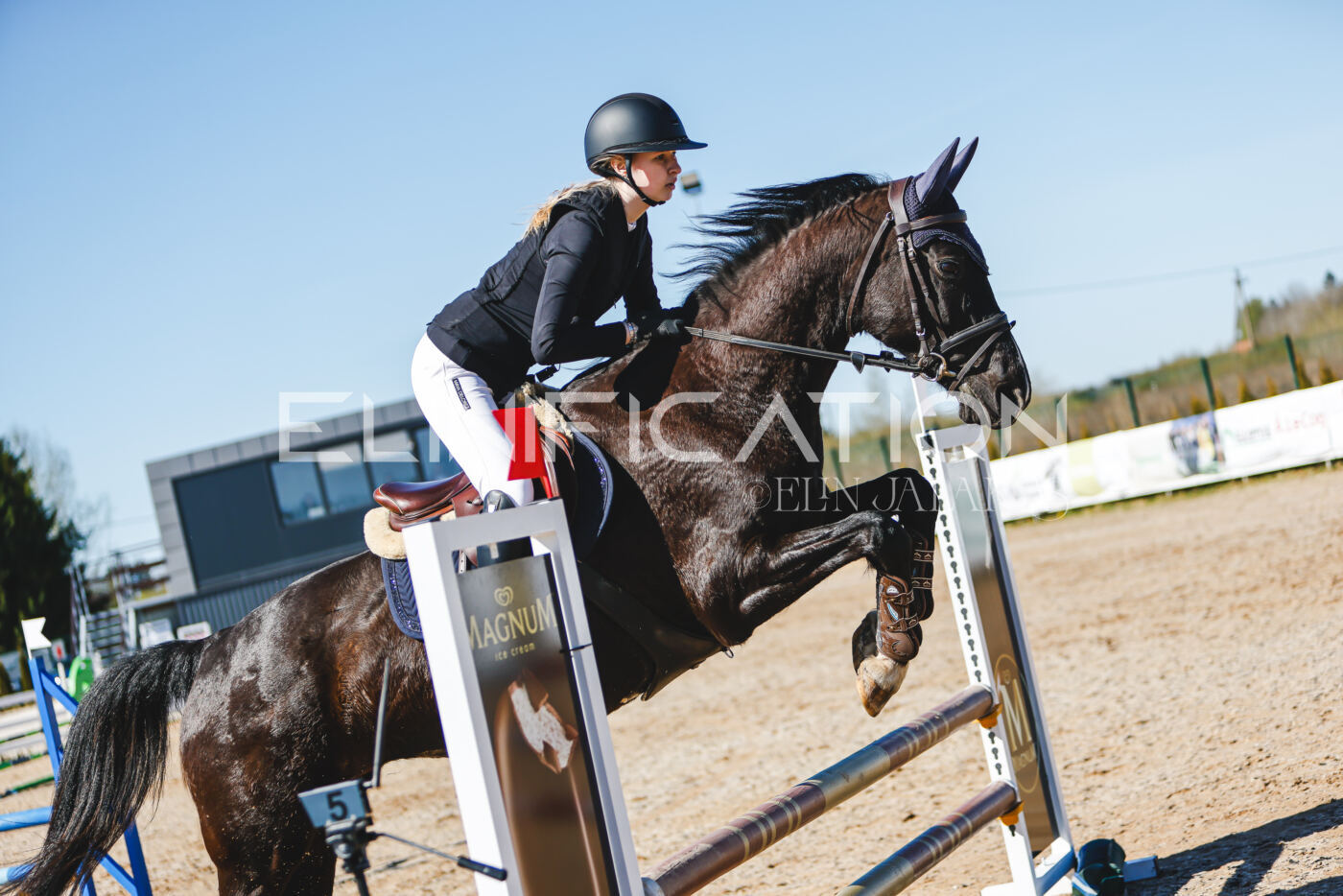 Gramina_Volber_2026_hc70-80_0641