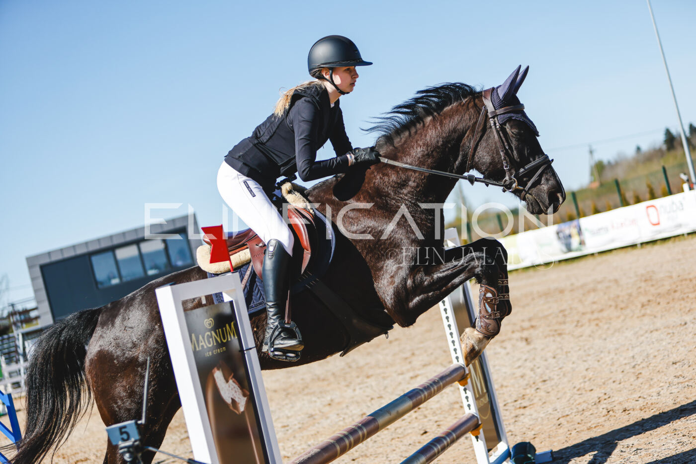 Gramina_Volber_2026_hc70-80_0642