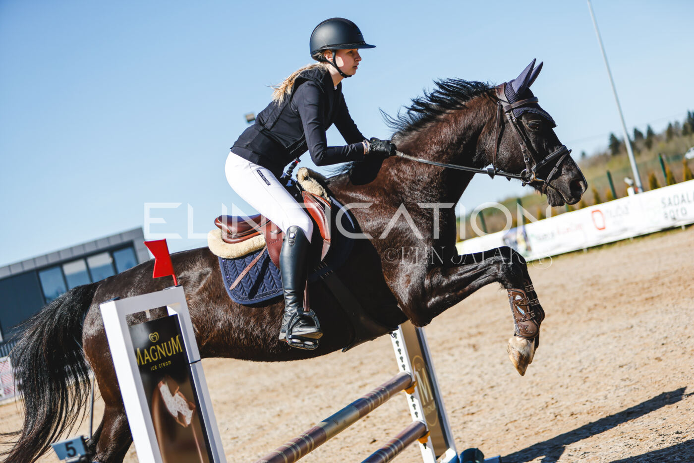 Gramina_Volber_2026_hc70-80_0643