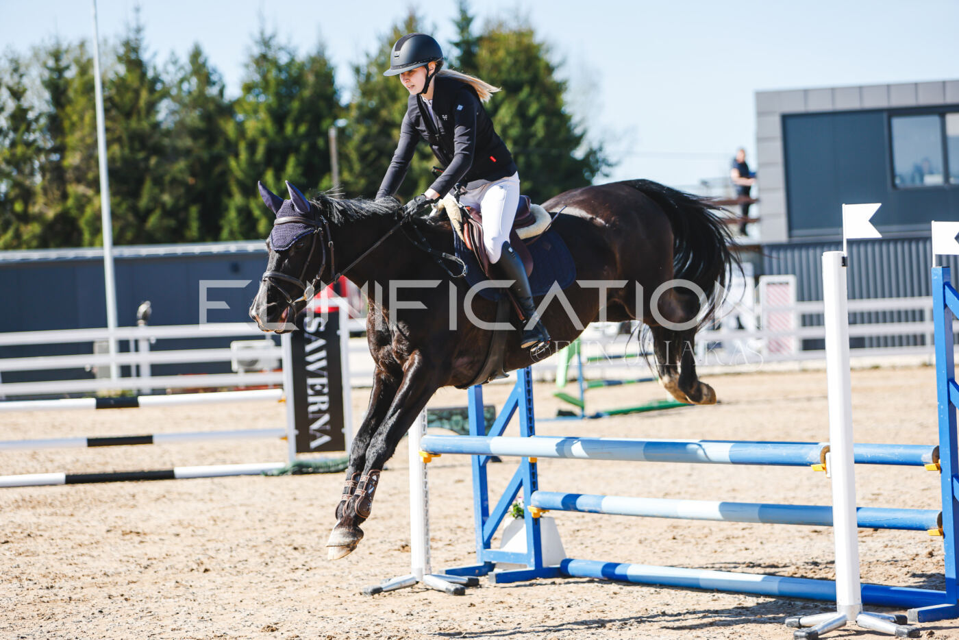 Gramina_Volber_2026_hc70-80_0653