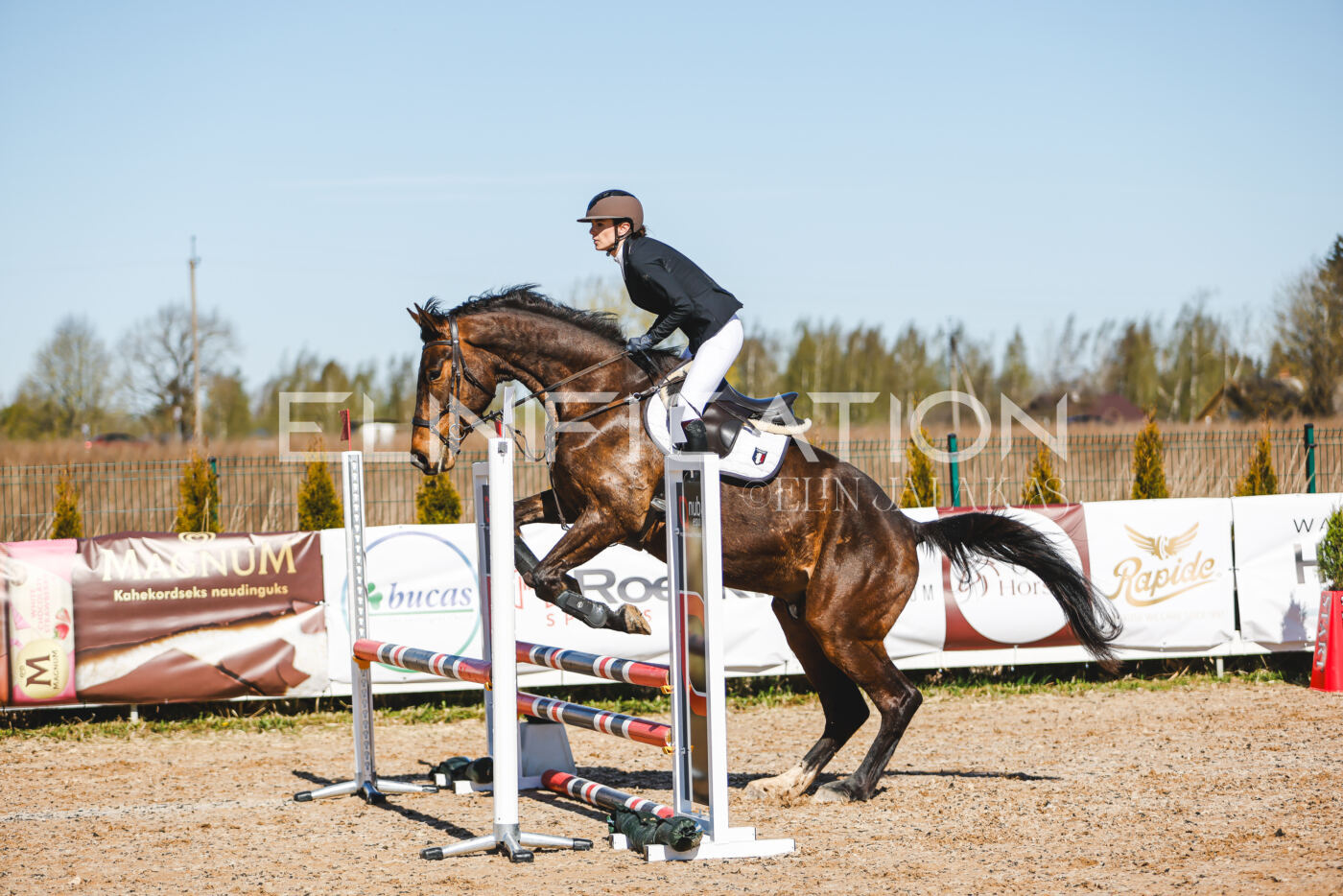 Gramina_Volber_2026_hc70-80_0656