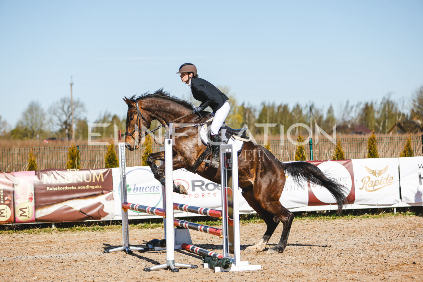 Gramina_Volber_2026_hc70-80_0657
