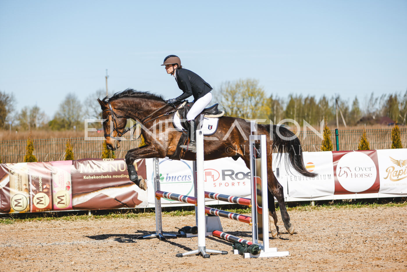 Gramina_Volber_2026_hc70-80_0660