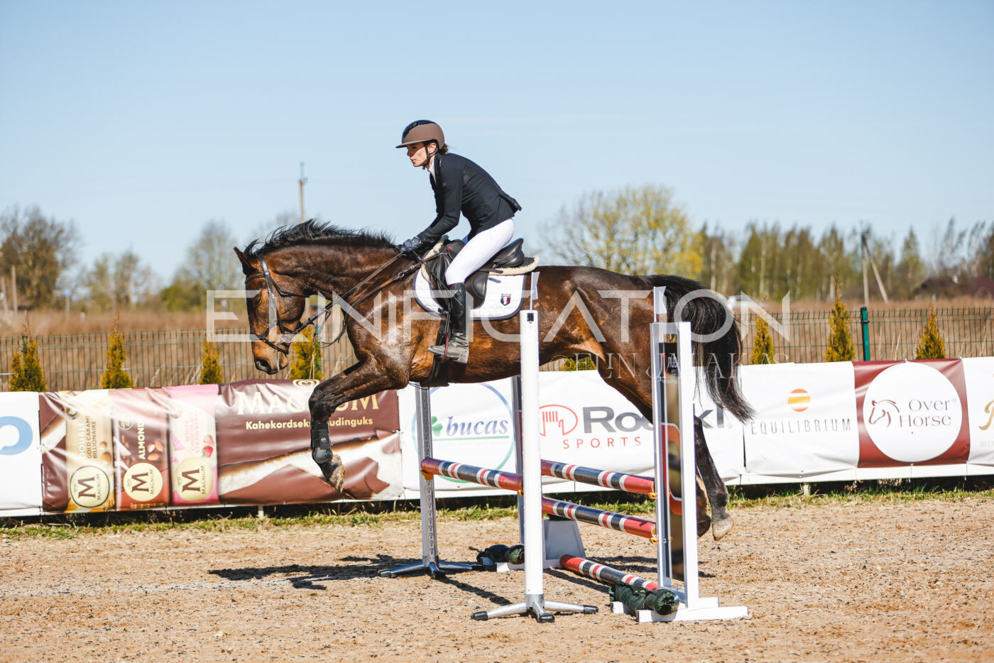 Gramina_Volber_2026_hc70-80_0661