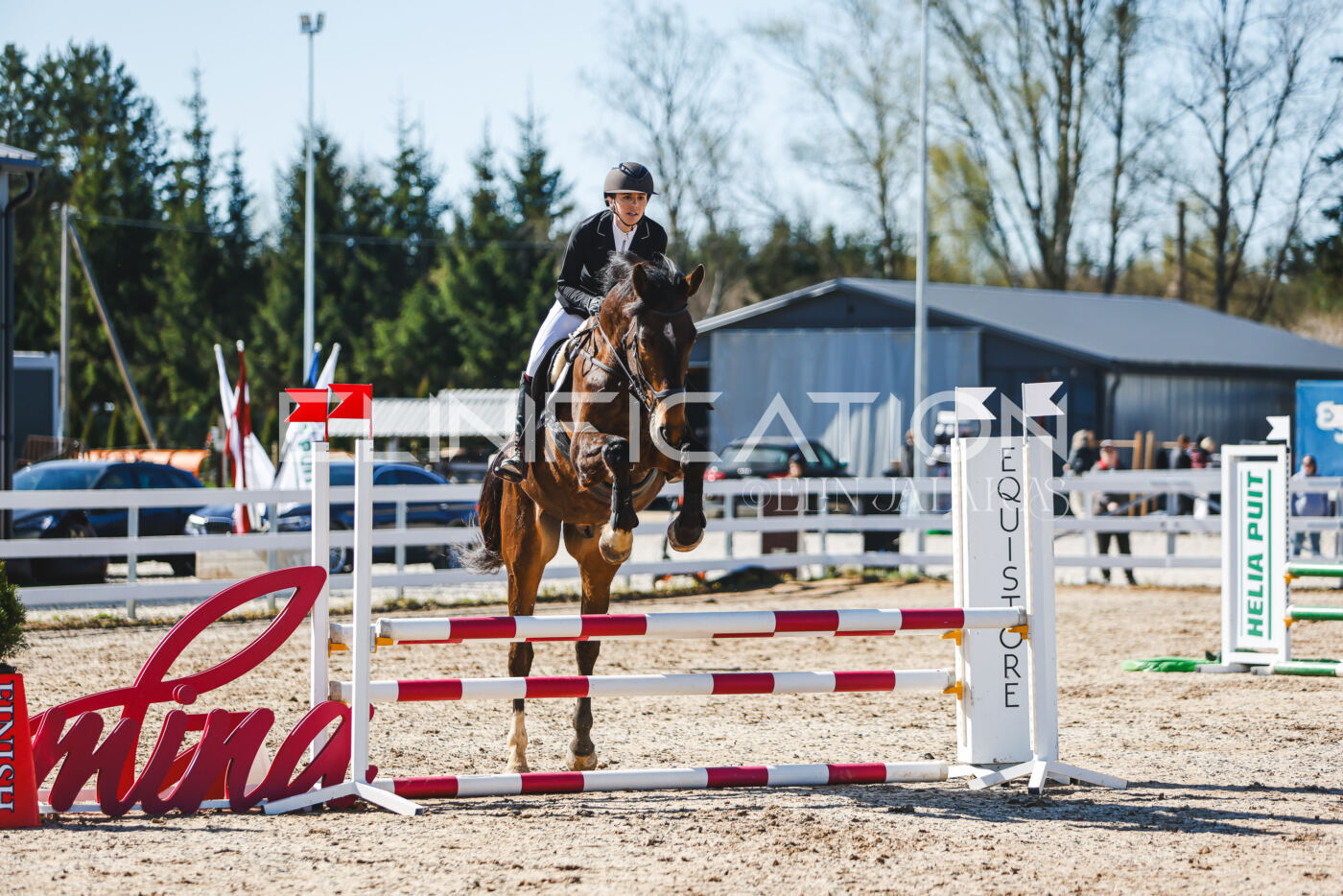Gramina_Volber_2026_hc70-80_0667