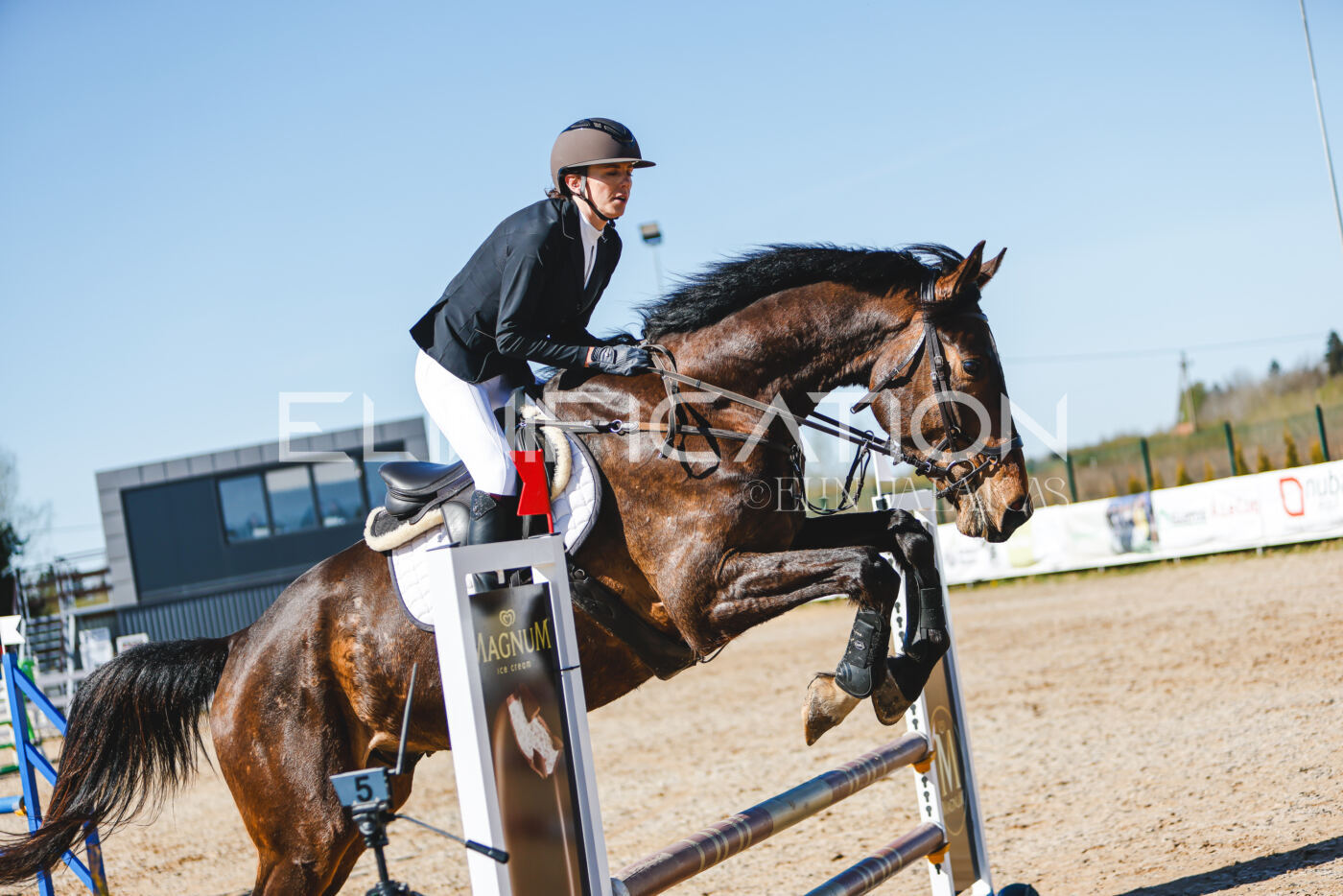 Gramina_Volber_2026_hc70-80_0674