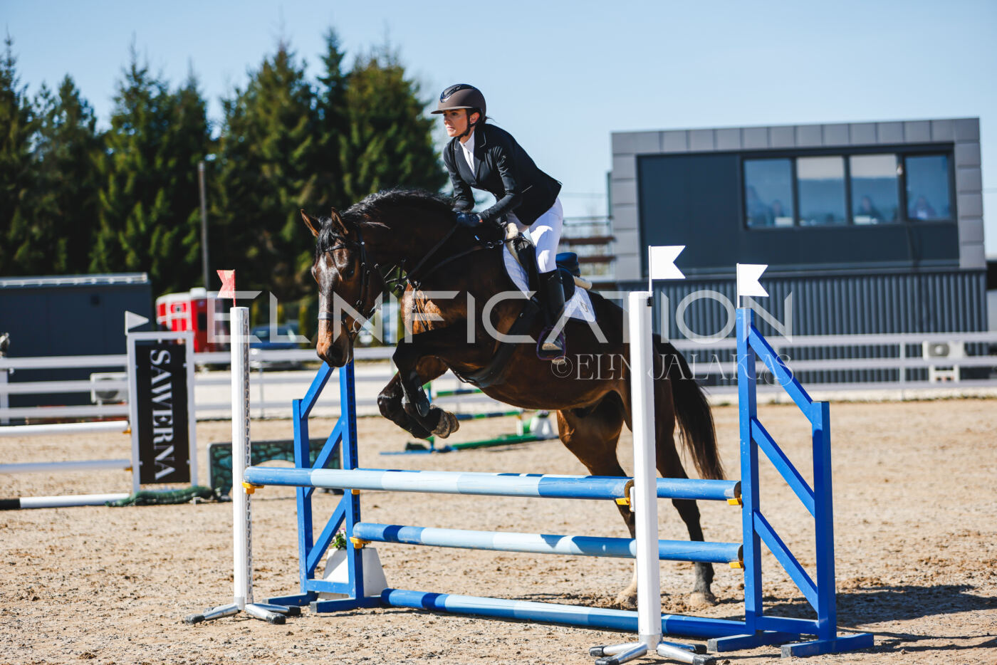 Gramina_Volber_2026_hc70-80_0678