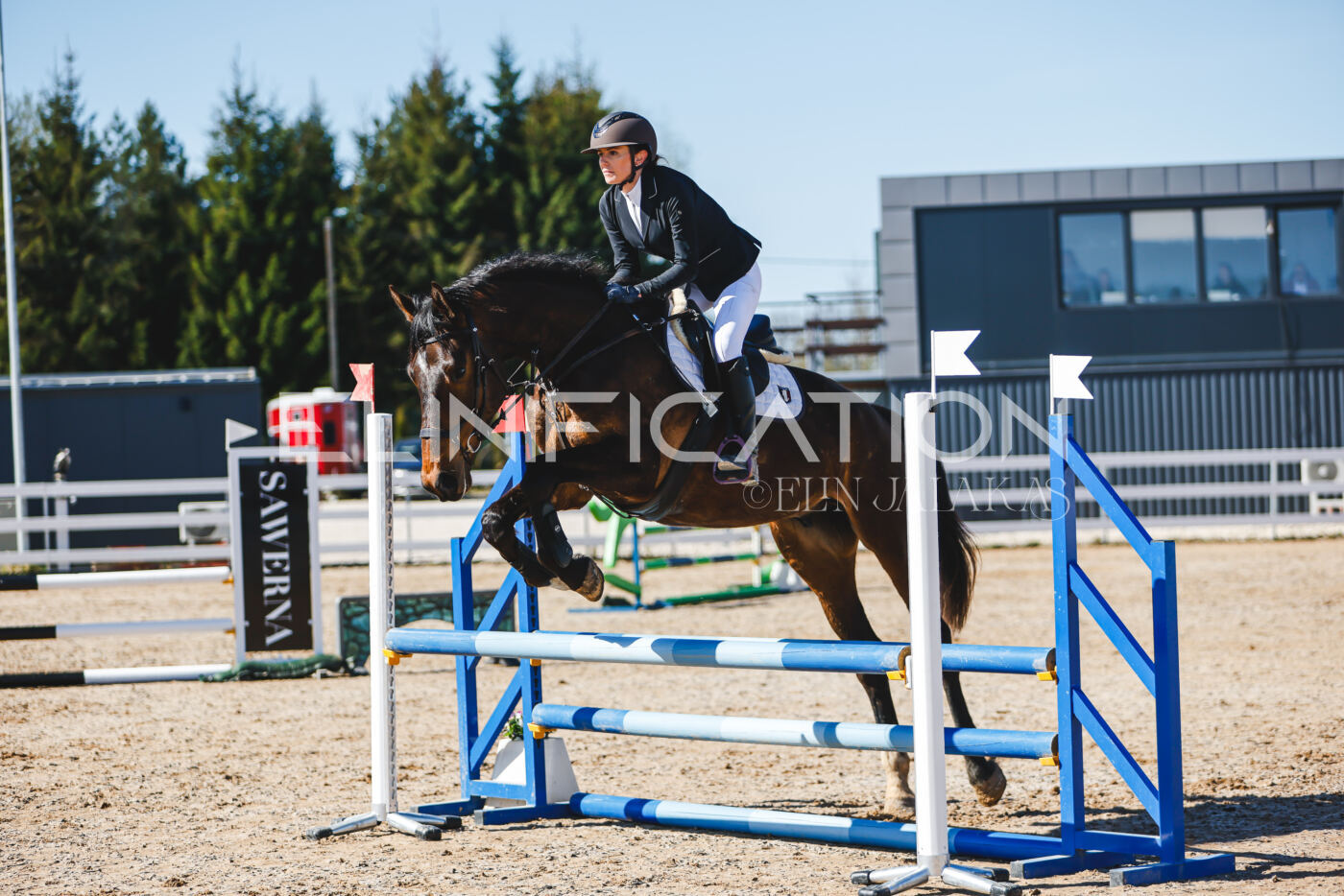 Gramina_Volber_2026_hc70-80_0679