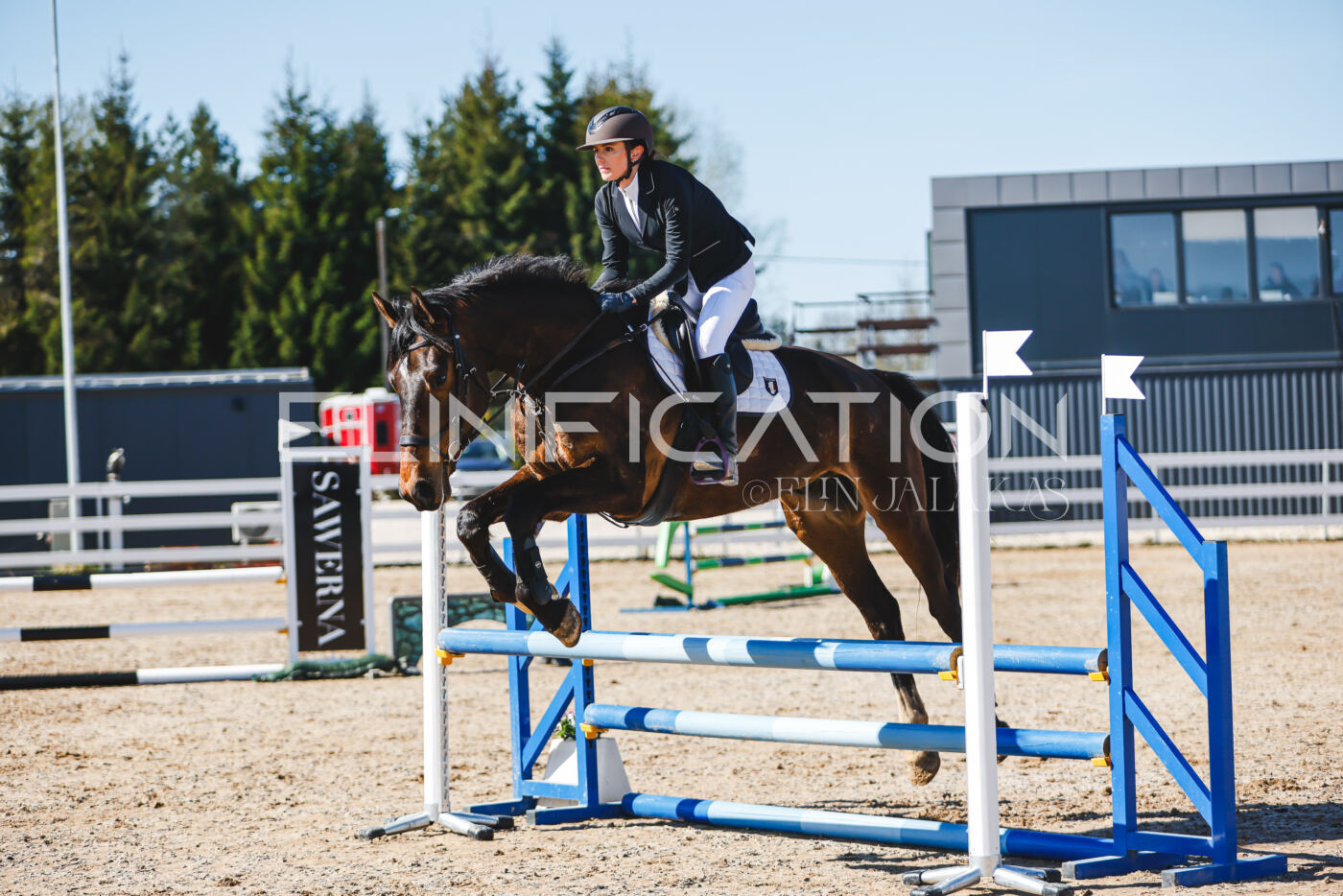 Gramina_Volber_2026_hc70-80_0680