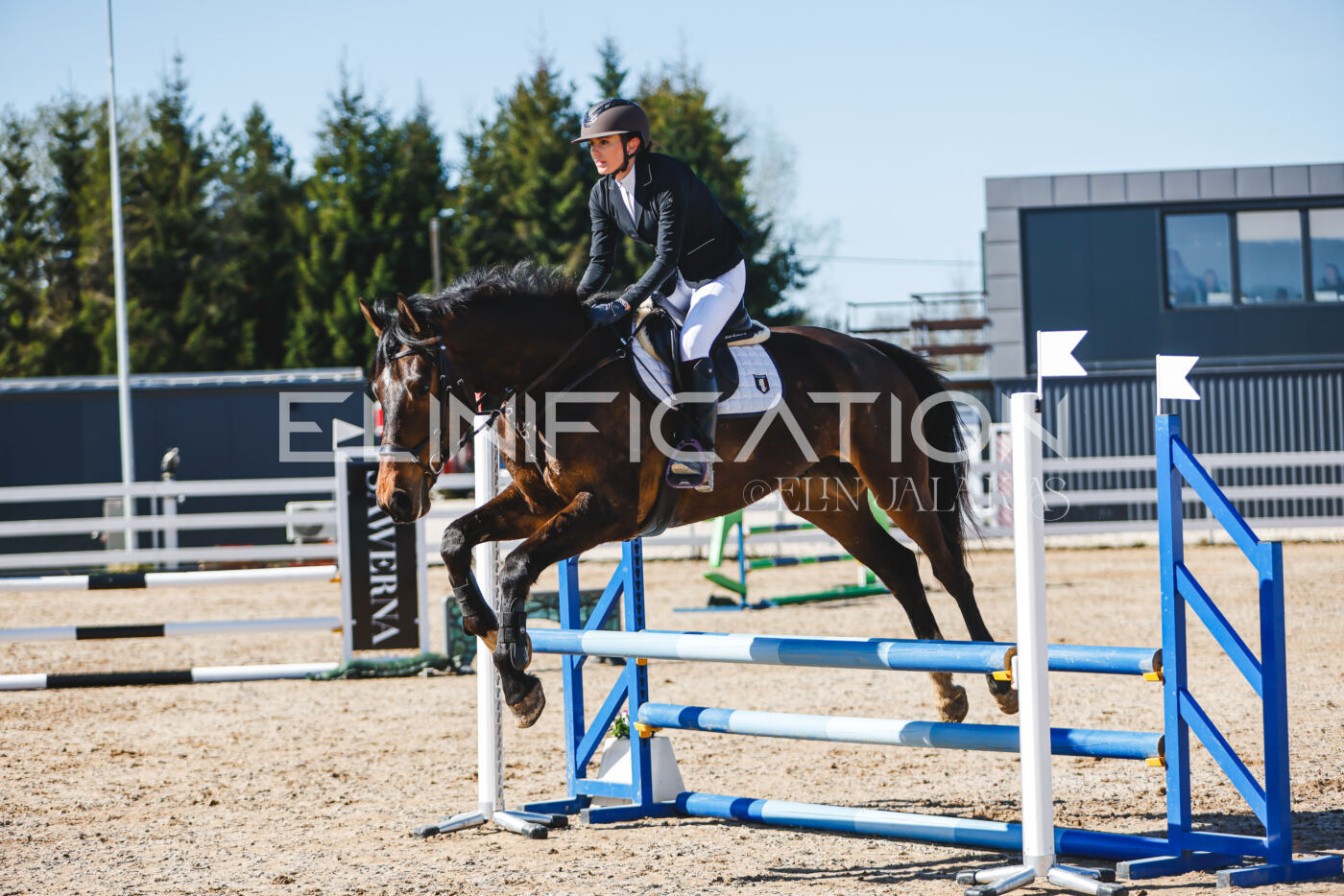 Gramina_Volber_2026_hc70-80_0681