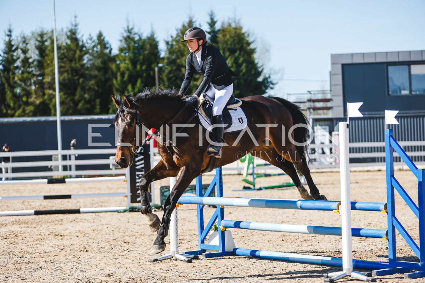 Gramina_Volber_2026_hc70-80_0682