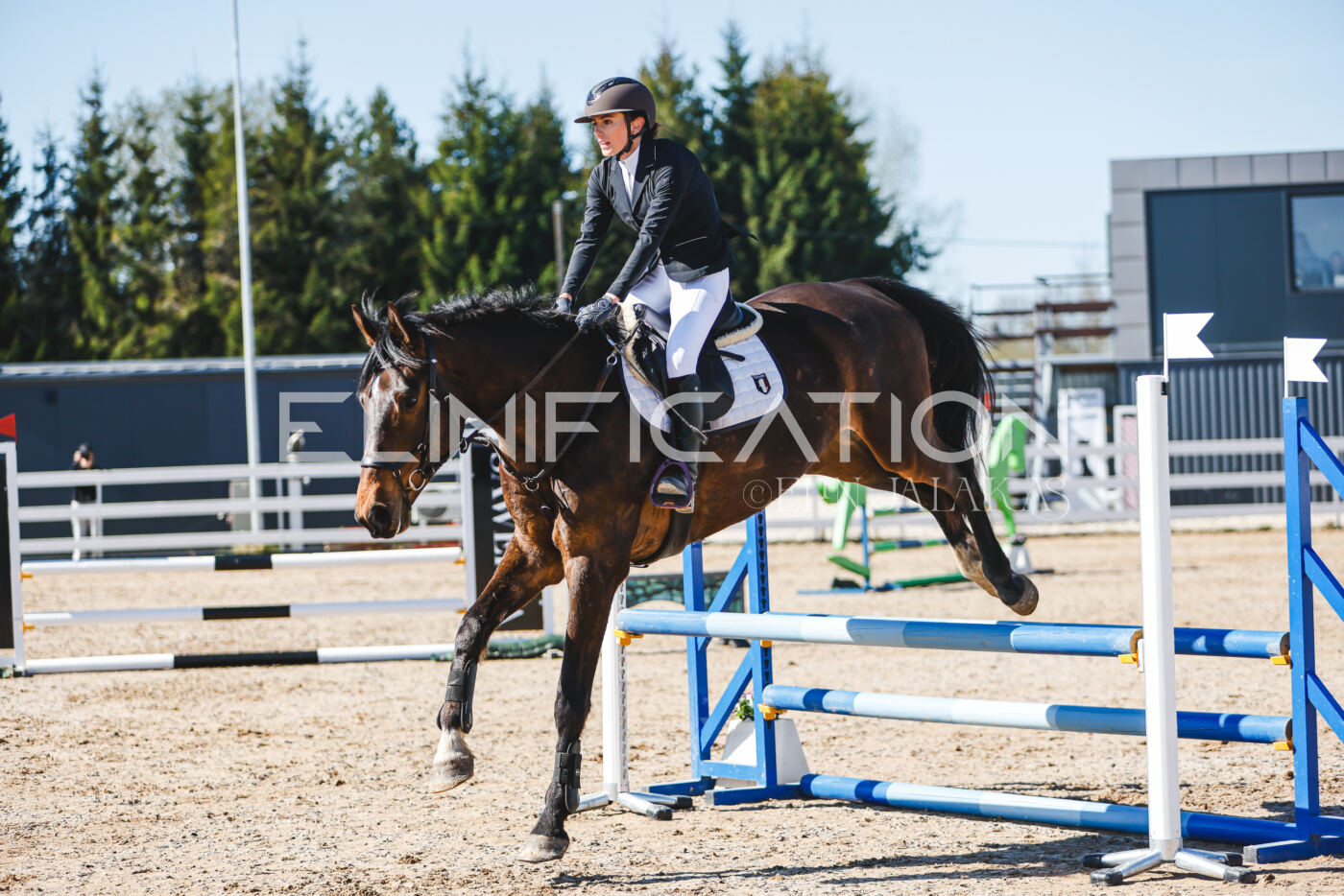Gramina_Volber_2026_hc70-80_0683