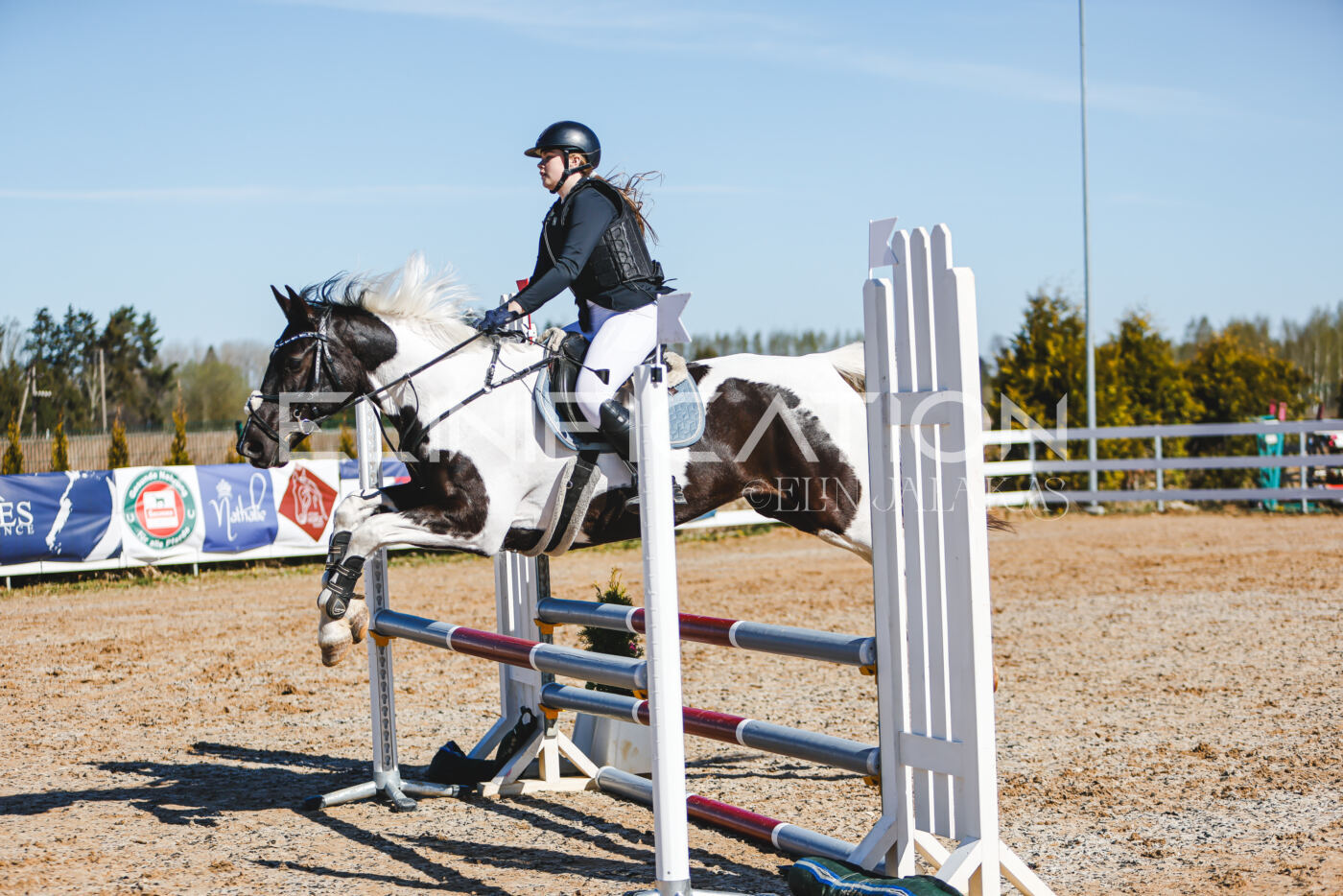 Gramina_Volber_2026_hc70-80_0694