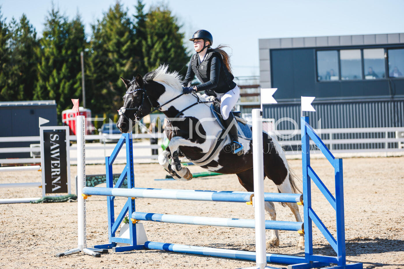 Gramina_Volber_2026_hc70-80_0706