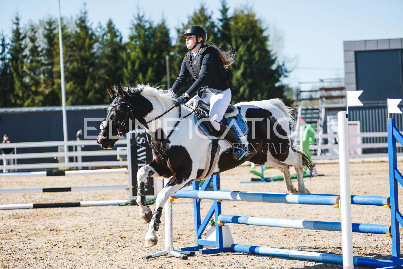 Gramina_Volber_2026_hc70-80_0710