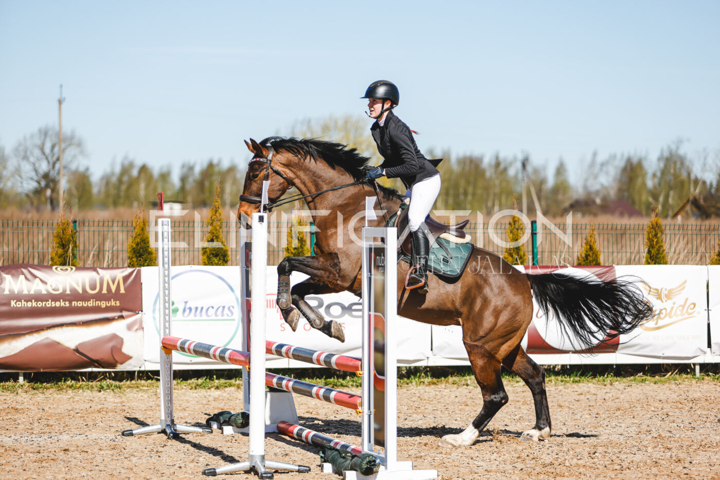Gramina_Volber_2026_hc70-80_0711