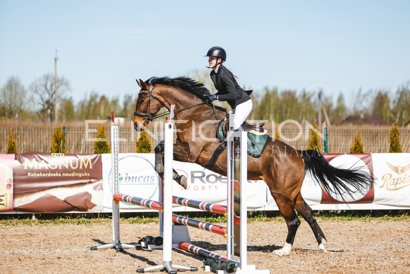 Gramina_Volber_2026_hc70-80_0712