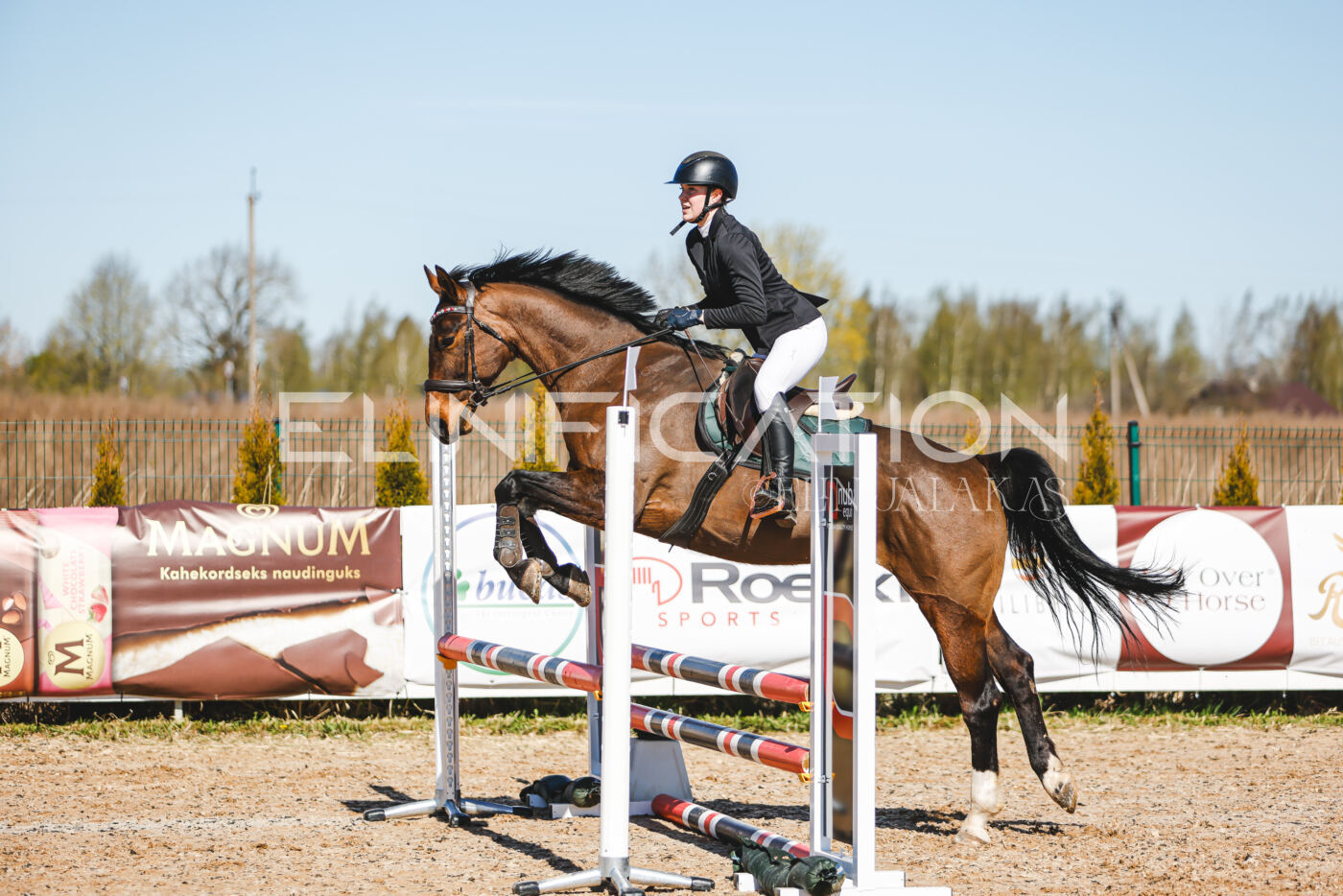 Gramina_Volber_2026_hc70-80_0713
