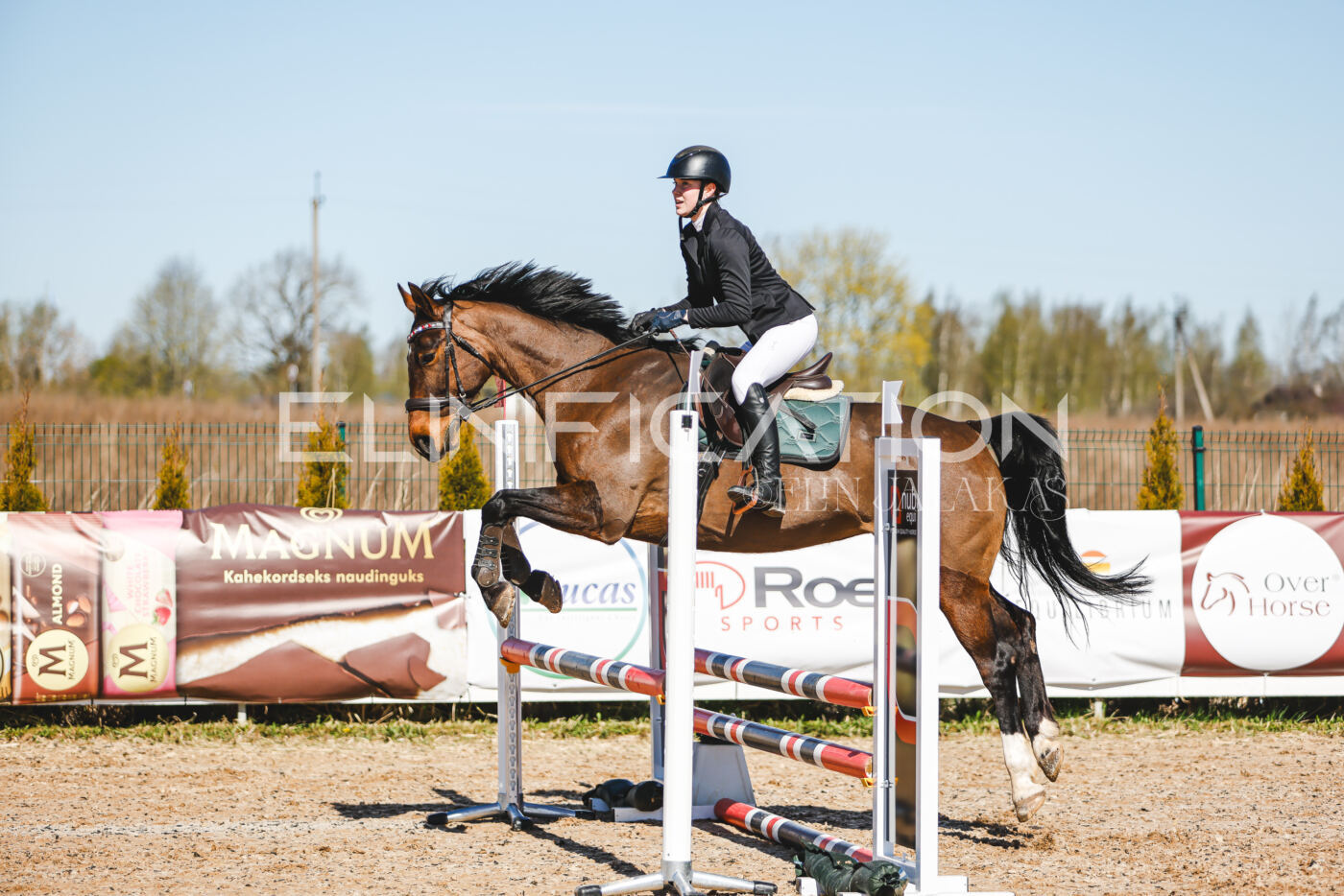 Gramina_Volber_2026_hc70-80_0714