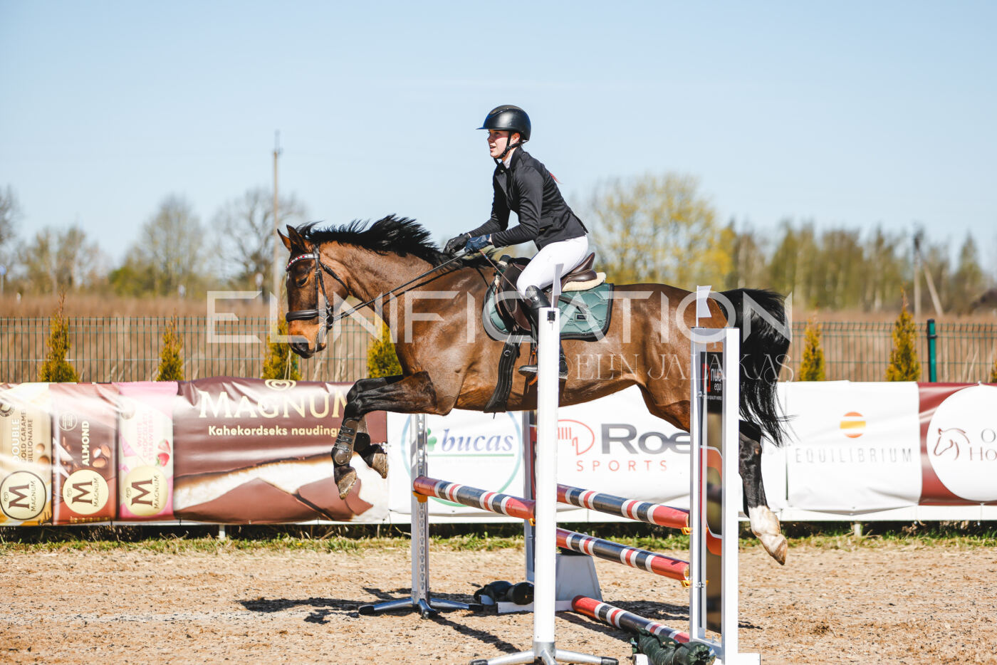 Gramina_Volber_2026_hc70-80_0715