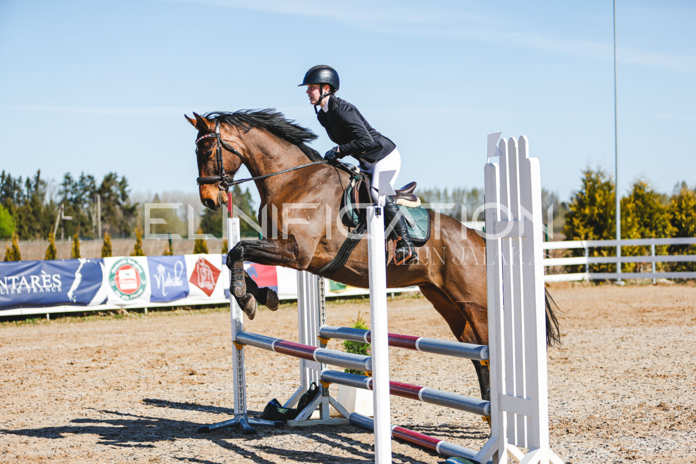 Gramina_Volber_2026_hc70-80_0723
