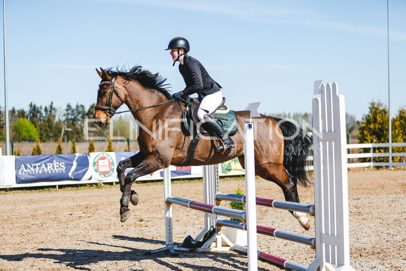 Gramina_Volber_2026_hc70-80_0725