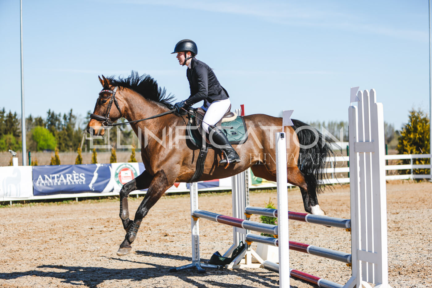 Gramina_Volber_2026_hc70-80_0726